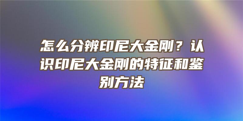 怎么分辨印尼大金刚？认识印尼大金刚的特征和鉴别方法