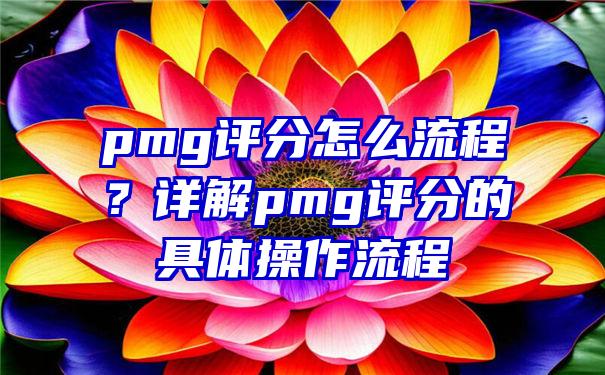 pmg评分怎么流程？详解pmg评分的具体操作流程