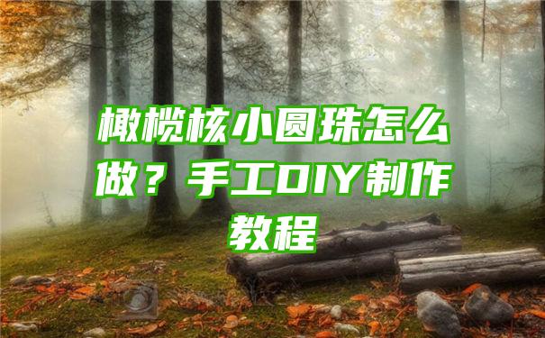 橄榄核小圆珠怎么做？手工DIY制作教程