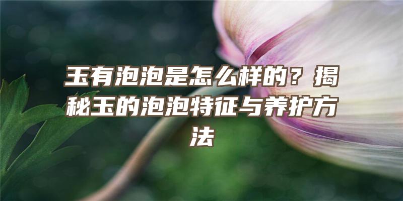 玉有泡泡是怎么样的？揭秘玉的泡泡特征与养护方法