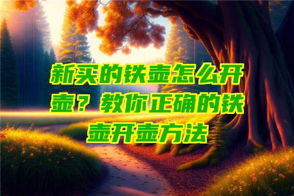 新买的铁壶怎么开壶？教你正确的铁壶开壶方法