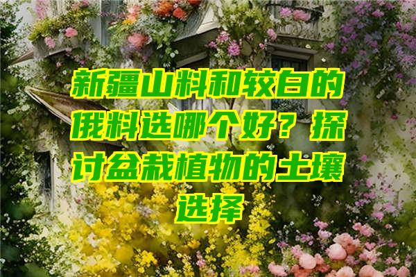 新疆山料和较白的俄料选哪个好？探讨盆栽植物的土壤选择