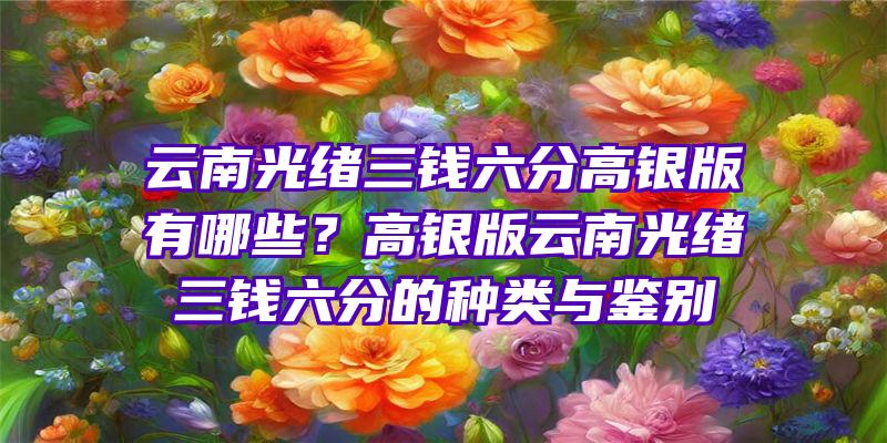 云南光绪三钱六分高银版有哪些？高银版云南光绪三钱六分的种类与鉴别