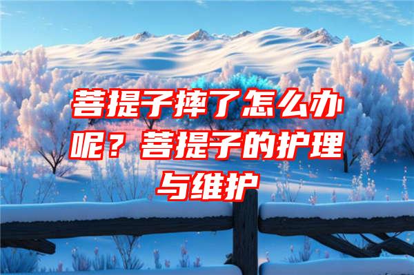 菩提子摔了怎么办呢？菩提子的护理与维护