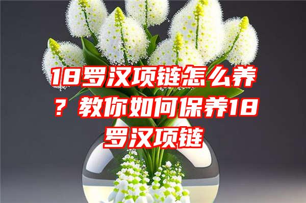 18罗汉项链怎么养？教你如何保养18罗汉项链