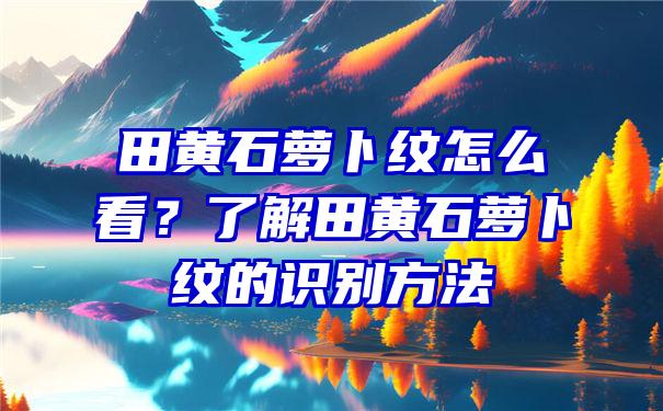 田黄石萝卜纹怎么看？了解田黄石萝卜纹的识别方法