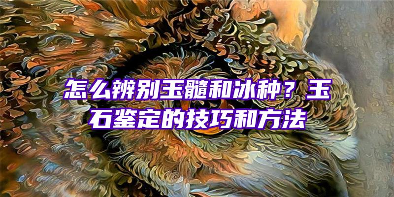 怎么辨别玉髓和冰种？玉石鉴定的技巧和方法