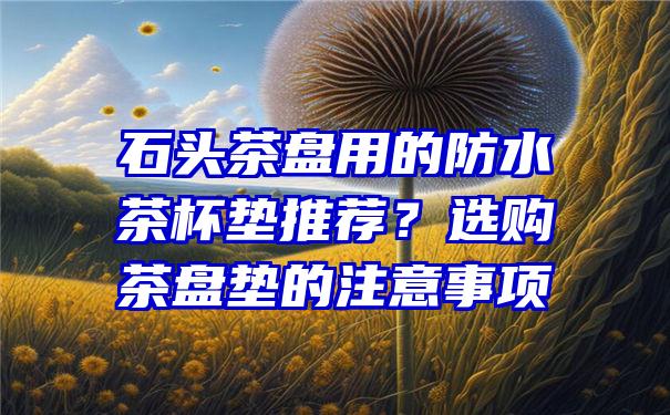 石头茶盘用的防水茶杯垫推荐？选购茶盘垫的注意事项