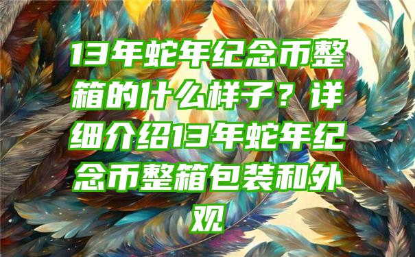 13年蛇年纪念币整箱的什么样子？详细介绍13年蛇年纪念币整箱包装和外观