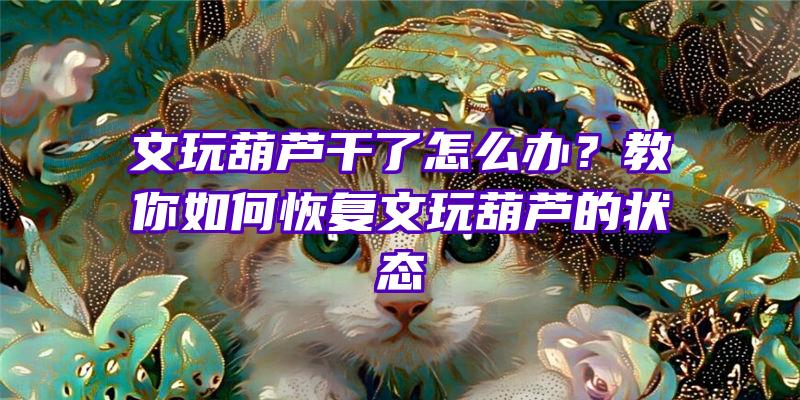 文玩葫芦干了怎么办？教你如何恢复文玩葫芦的状态