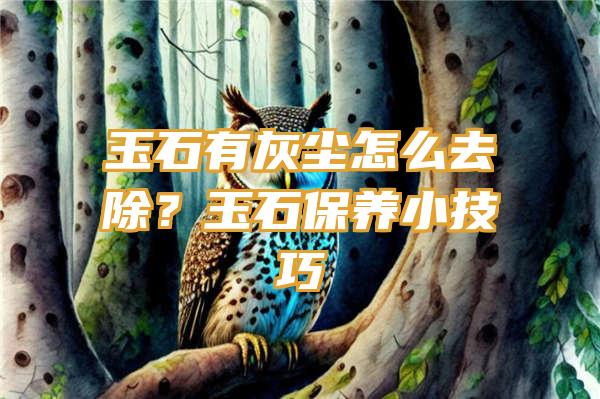 玉石有灰尘怎么去除？玉石保养小技巧