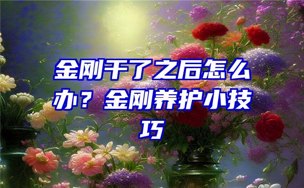 金刚干了之后怎么办？金刚养护小技巧