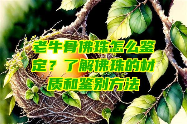 老牛骨珠怎么鉴定？了解珠的材质和鉴别方法