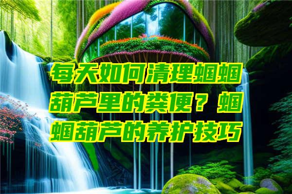 每天如何清理蝈蝈葫芦里的粪便？蝈蝈葫芦的养护技巧