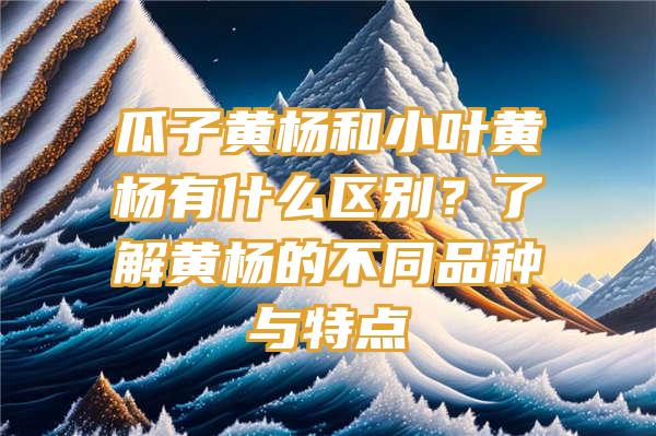 瓜子黄杨和小叶黄杨有什么区别？了解黄杨的不同品种与特点