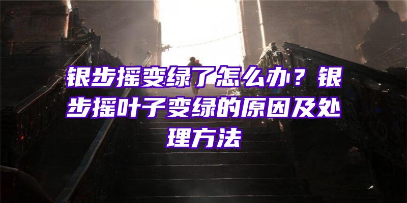 银步摇变绿了怎么办？银步摇叶子变绿的原因及处理方法