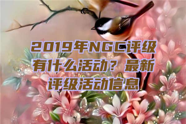 2019年NGC评级有什么活动？最新评级活动信息