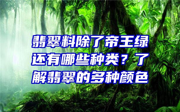 翡翠料除了帝王绿还有哪些种类？了解翡翠的多种颜色