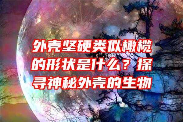 外壳坚硬类似橄榄的形状是什么？探寻神秘外壳的生物