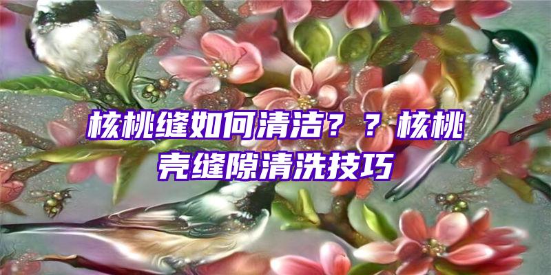 核桃缝如何清洁？？核桃壳缝隙清洗技巧