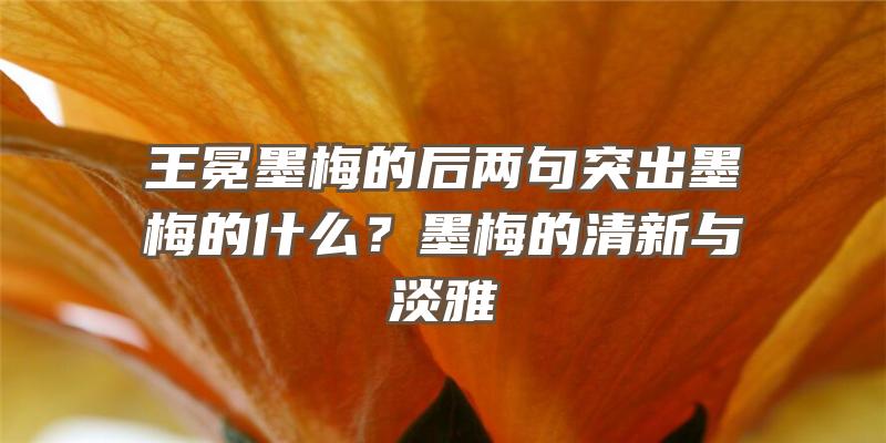 王冕墨梅的后两句突出墨梅的什么？墨梅的清新与淡雅