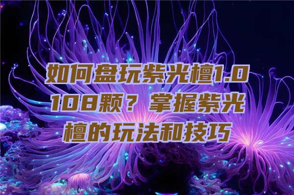 如何盘玩紫光檀1.0108颗？掌握紫光檀的玩法和技巧