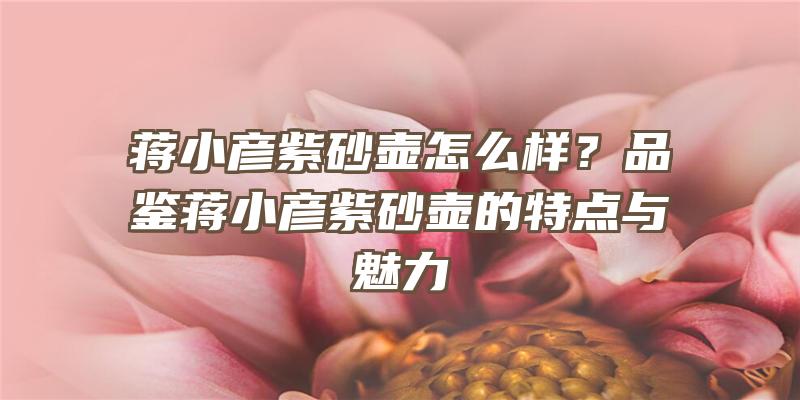 蒋小彦紫砂壶怎么样？品鉴蒋小彦紫砂壶的特点与魅力