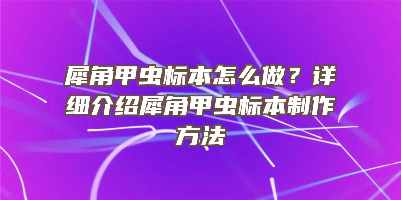 犀角甲虫标本怎么做？详细介绍犀角甲虫标本制作方法