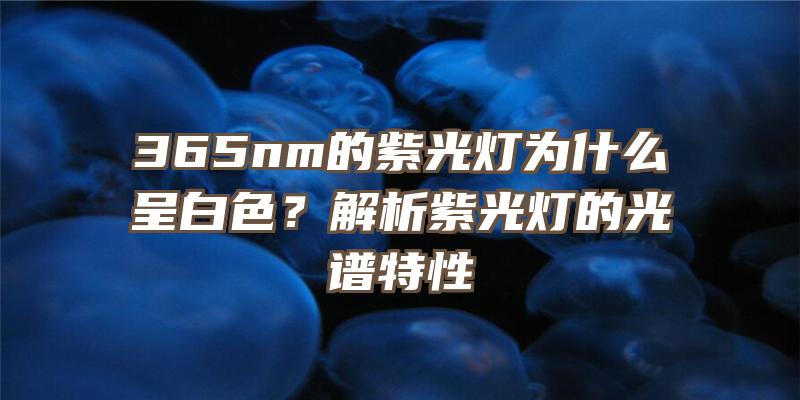 365nm的紫光灯为什么呈白色？解析紫光灯的光谱特性