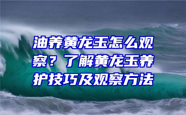 油养黄龙玉怎么观察？了解黄龙玉养护技巧及观察方法