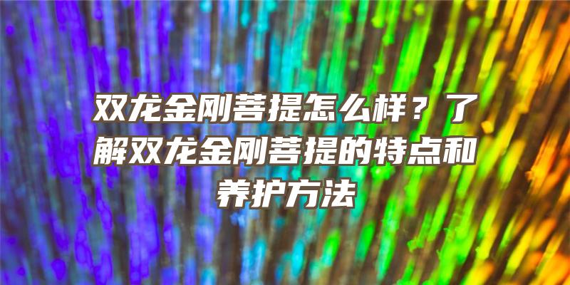 双龙金刚菩提怎么样？了解双龙金刚菩提的特点和养护方法