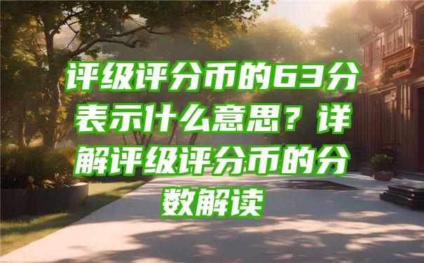 评级评分币的63分表示什么意思？详解评级评分币的分数解读