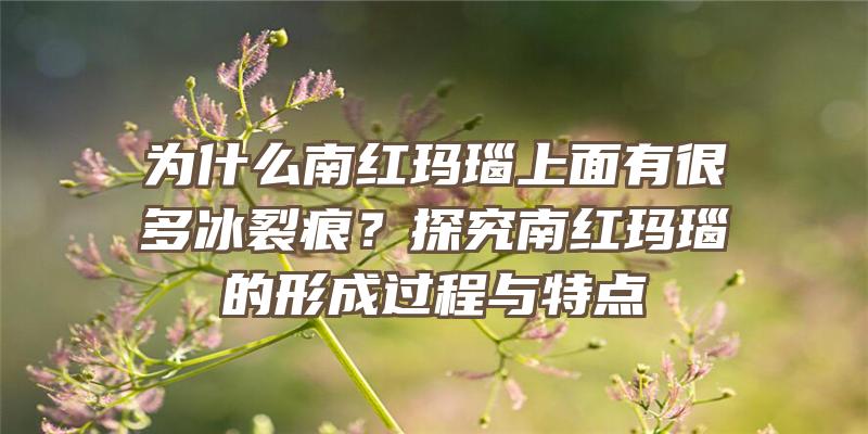 为什么南红玛瑙上面有很多冰裂痕？探究南红玛瑙的形成过程与特点