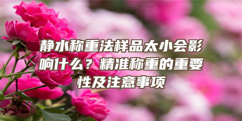 静水称重法样品太小会影响什么？精准称重的重要性及注意事项