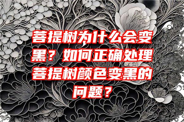 菩提树为什么会变黑？如何正确处理菩提树颜色变黑的问题？