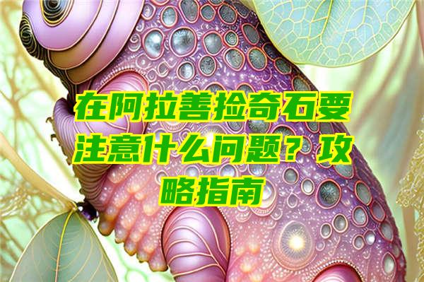 在阿拉善捡奇石要注意什么问题？攻略指南