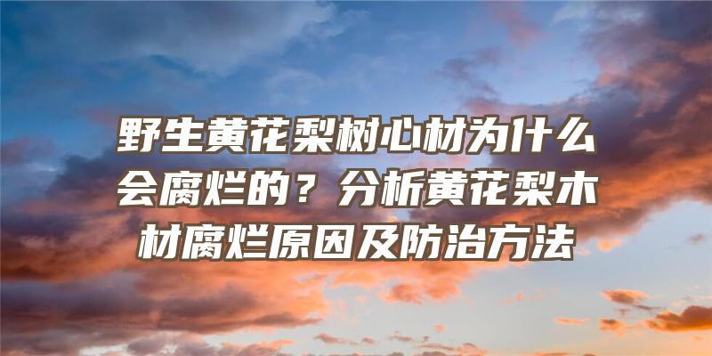 野生黄花梨树心材为什么会腐烂的？分析黄花梨木材腐烂原因及防治方法