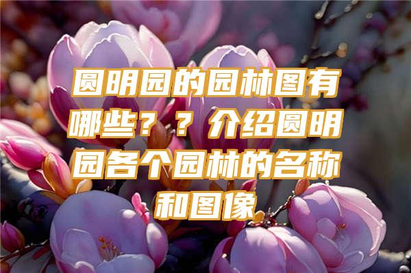 圆明园的园林图有哪些？？介绍圆明园各个园林的名称和图像