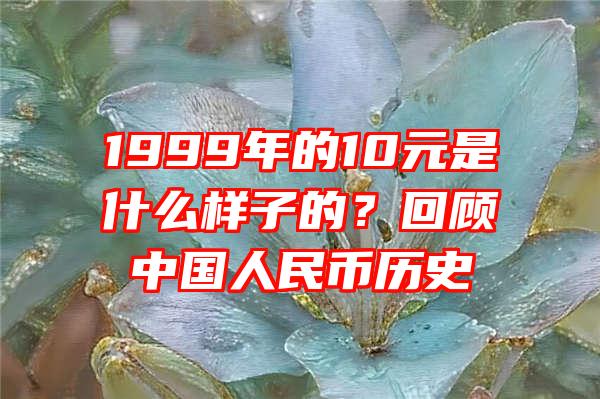 1999年的10元是什么样子的？回顾中国人民币历史