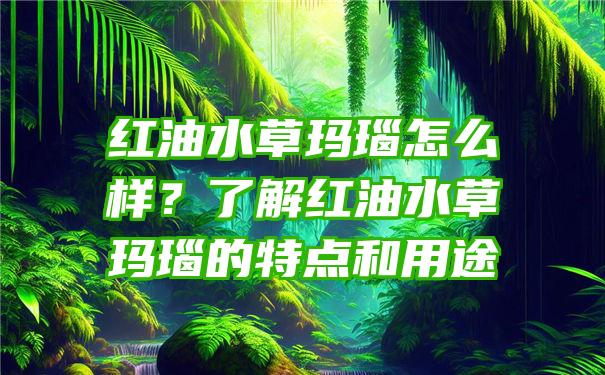 红油水草玛瑙怎么样？了解红油水草玛瑙的特点和用途