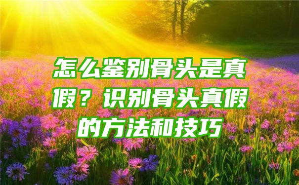 怎么鉴别骨头是真假？识别骨头真假的方法和技巧