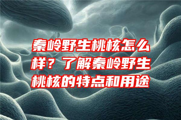 秦岭野生桃核怎么样？了解秦岭野生桃核的特点和用途