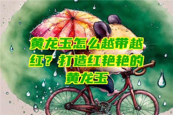 黄龙玉怎么越带越红？打造红艳艳的黄龙玉