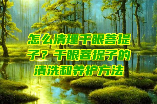 怎么清理千眼菩提子？千眼菩提子的清洗和养护方法