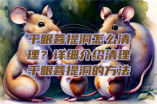 千眼菩提洞怎么清理？详细介绍清理千眼菩提洞的方法