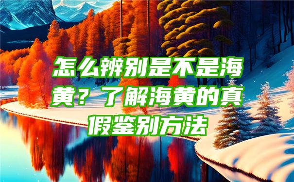 怎么辨别是不是海黄？了解海黄的真假鉴别方法