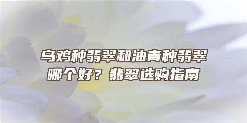 乌鸡种翡翠和油青种翡翠哪个好？翡翠选购指南