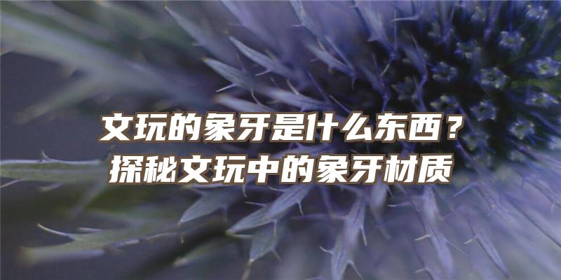 文玩的象牙是什么东西？探秘文玩中的象牙材质