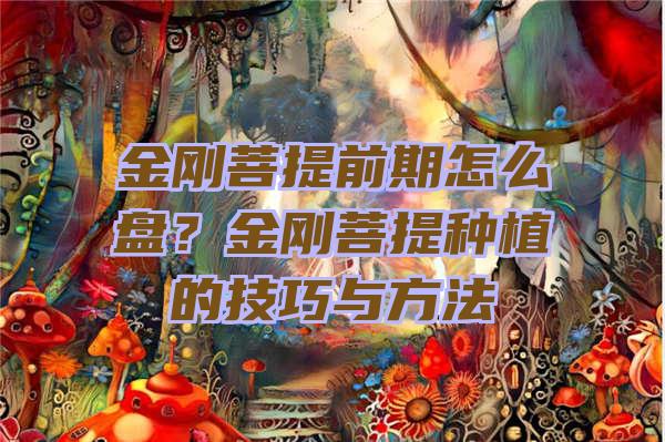 金刚菩提前期怎么盘？金刚菩提种植的技巧与方法