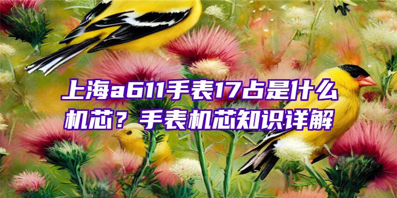 上海a611手表17占是什么机芯？手表机芯知识详解